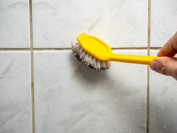 Best Fast Mold Removal  in Ottawa, KS