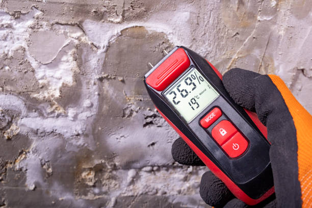 Best Mold Damage Repair  in Ottawa, KS