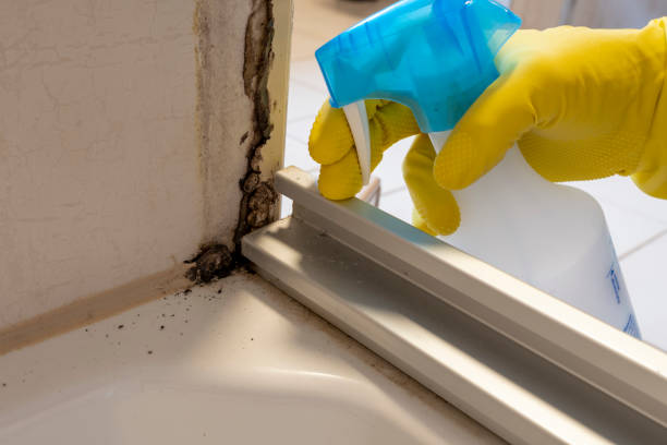 Best Affordable Mold Removal  in Ottawa, KS