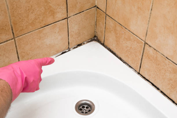 Best Commercial Mold Removal  in Ottawa, KS